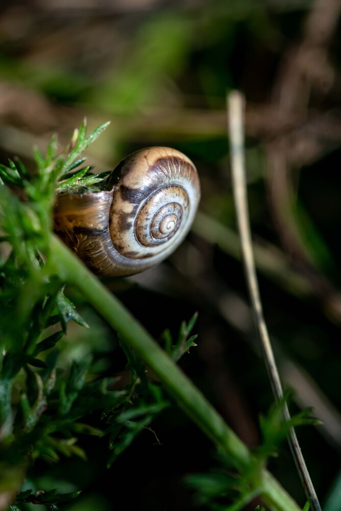 Klicken für eine Vergrösserung