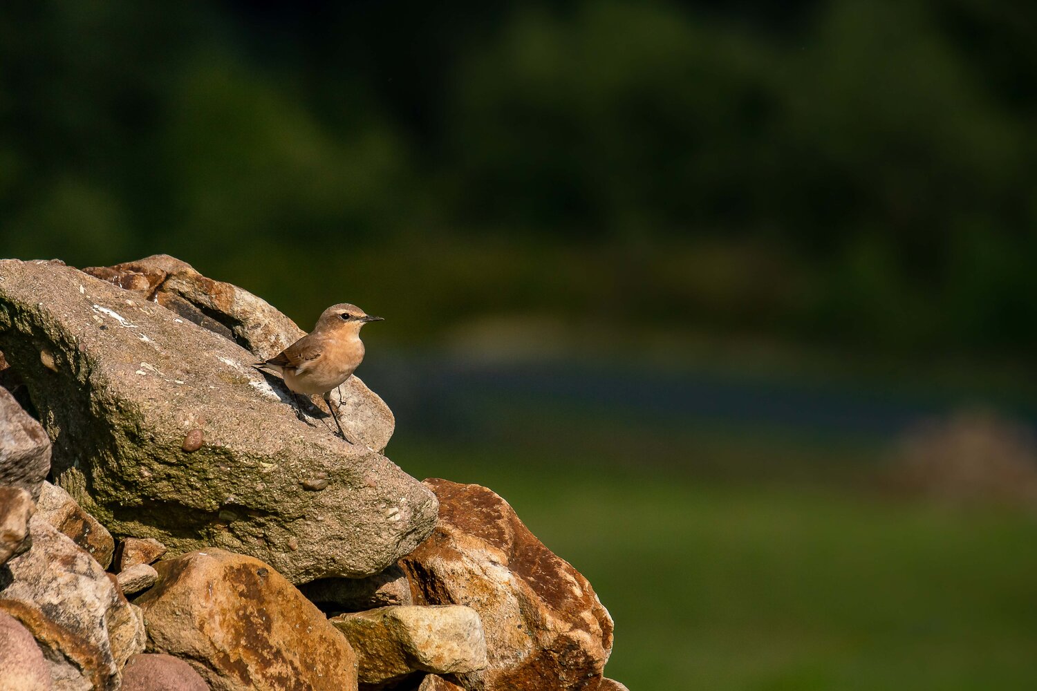 Klicken für eine Vergrösserung